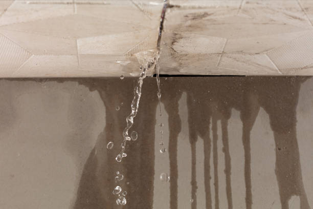 Professional Burst Pipe Cleanup technician working in Lincoln Park, NJ